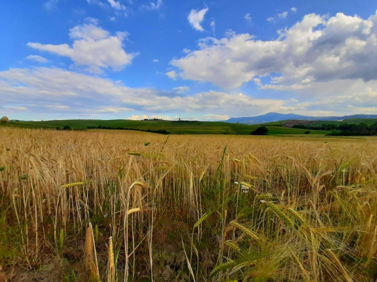La Corte Antica Pienza Eksteriør bilde