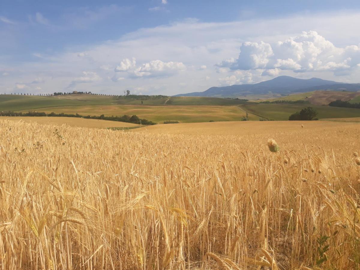 La Corte Antica Pienza Eksteriør bilde